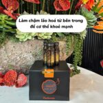 536273463_4100780730137076_3901192379752833492_n