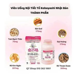 Viên Uống Nội Tiết Tố - JP - 840 viên - Date 11/2027 - Hộp - Image 2