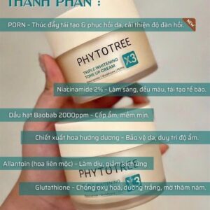 Kem Phytotree Tone Up Trắng Da 100ml - EXP 202809 - Image 5