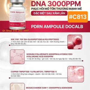 DCL - PDRN Ampoule V2 (5ml*5vials) - Hộp - Image 2