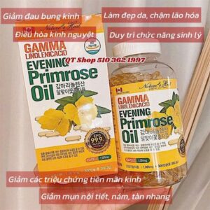 Tinh Dầu Hoa Anh Thảo Vàng Gamma - Lọ 300 viên - Hộp - Image 2