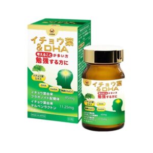 Viên uống bổ não WAKENKO Ichoga + DHA- JP - Date 06/2026 - Hộp - Image 1
