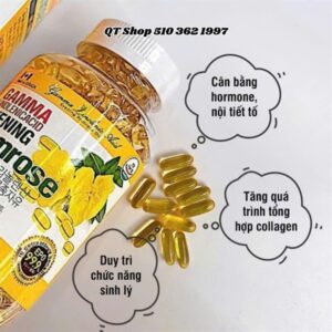 Tinh Dầu Hoa Anh Thảo Vàng Gamma - Lọ 300 viên - Hộp - Image 3